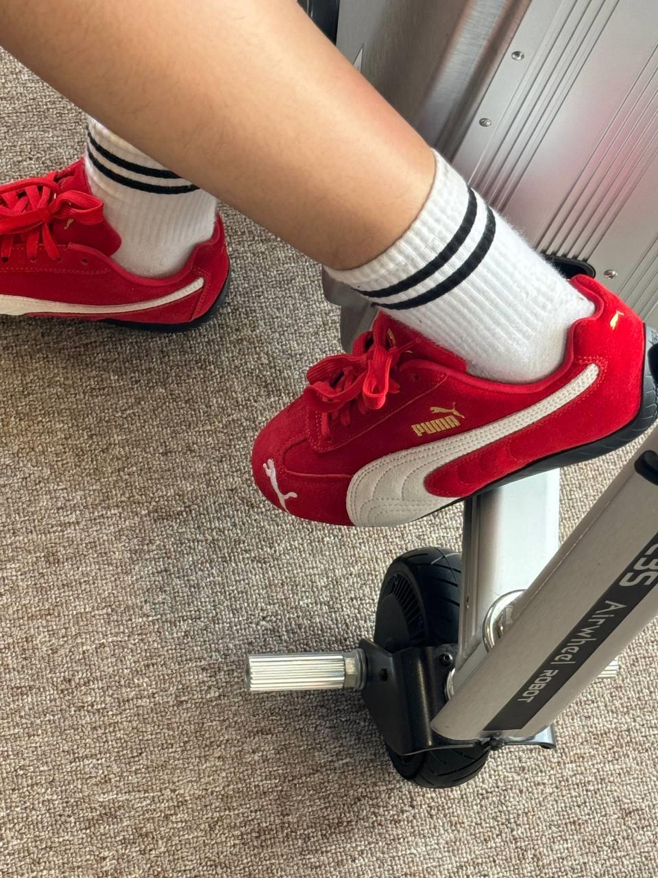 giày thể thao chính hãng, giày nike chính hãng, giày adidas chính hãng, giày newbalance chính hãng, giày converse chính hãng, giày puma chính hãng, giày vans chính hãng, giày asics chính hãng, giày everlast chính hãng, nước hoa chính hãng, ba lô, dép, dép quai ngang