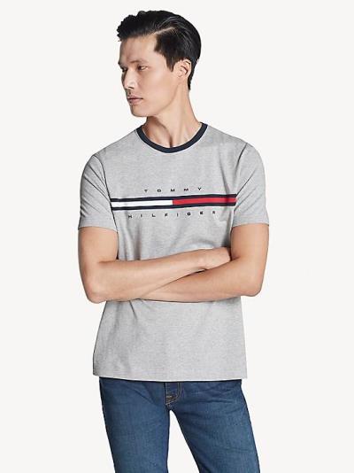 Áo Thun Tommy Hilfiger ESSENTIAL FLAG LOGO T-SHIRT [7849807 475]