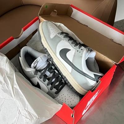 Giày Nike Dunk Low ‘Light Smoke Grey’ (W) [DD1503-117]