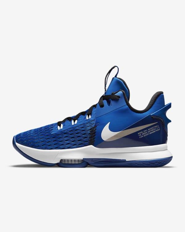 Giày Nike LeBron Witness Basketball [CQ9380-400] [O]