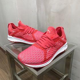 giày thể thao chính hãng, giày nike chính hãng, giày adidas chính hãng, giày newbalance chính hãng, giày converse chính hãng, giày puma chính hãng, giày vans chính hãng, giày asics chính hãng, giày everlast chính hãng, nước hoa chính hãng, ba lô, dép, dép quai ngang